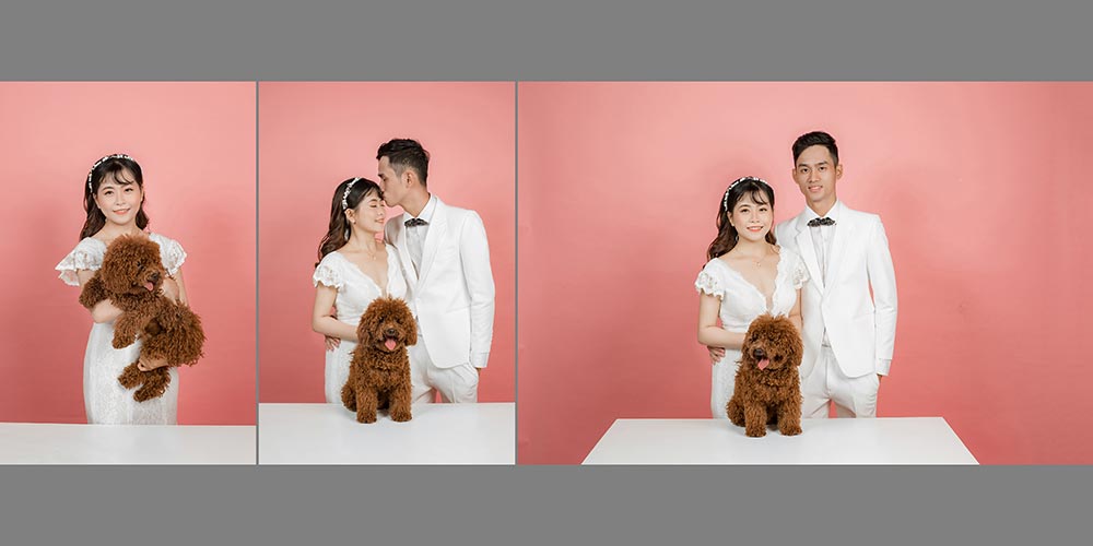 Đừng bỏ qua bất cứ phần nào trong thiết kế album.