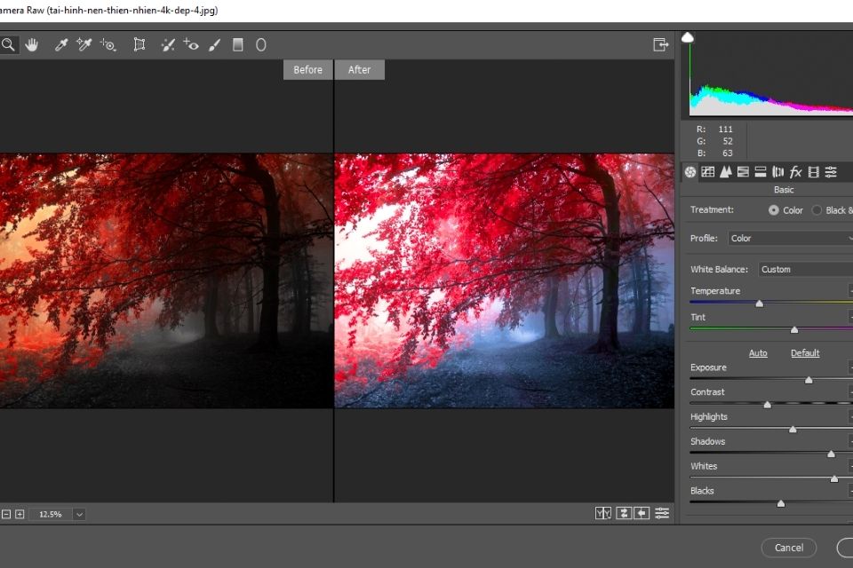 Camera Raw là công cụ mạnh mẽ giúp bạn xử lý ảnh thô từ máy ảnh 